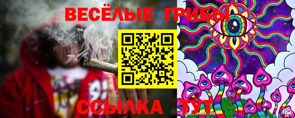 Псилоцибиновые грибы мицелий Елабуга